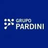 Instituto Hermes Pardini S.A. Reports Earnings Results for the .